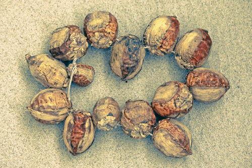 西藏男子吃瓜,揭秘高原瓜果的独特魅力