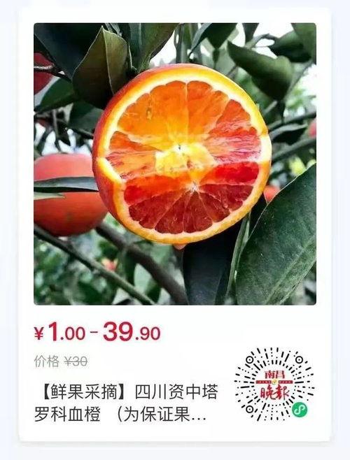 山东吃蜜瓜视频,甜蜜滋味，视觉与味蕾的双重享受