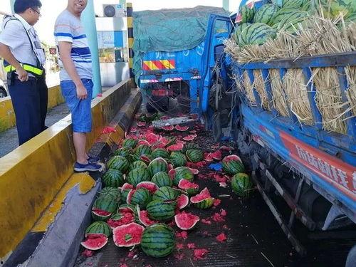 高速免费吃瓜群众,吃瓜群众狂欢时刻