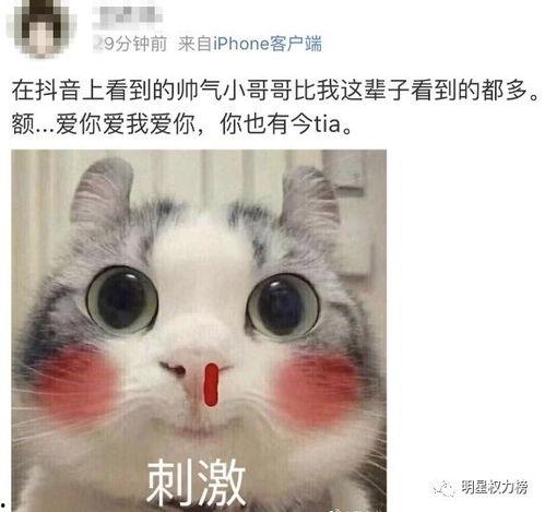 抖音吃瓜ta,揭秘网络红人的幕后故事