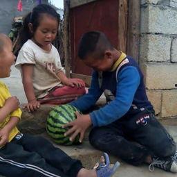 兄妹吃瓜照,甜蜜瓜影见证童年回忆