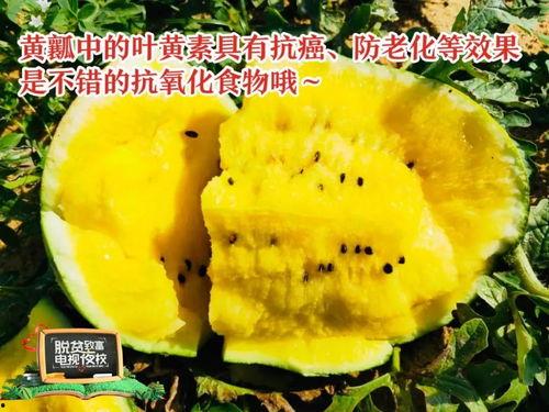 瓜拉怎么吃,解锁美味瓜拉的正确食用方法