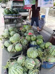 山西文水吃瓜事件,一场引发社会关注的误会风波