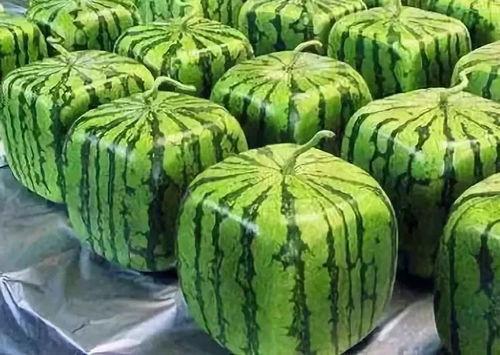 科科吃瓜,揭秘娱乐圈那些不为人知的幕后故事