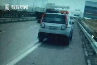 群众吃瓜切瓜视频,全民围观吃瓜切瓜短视频盛宴