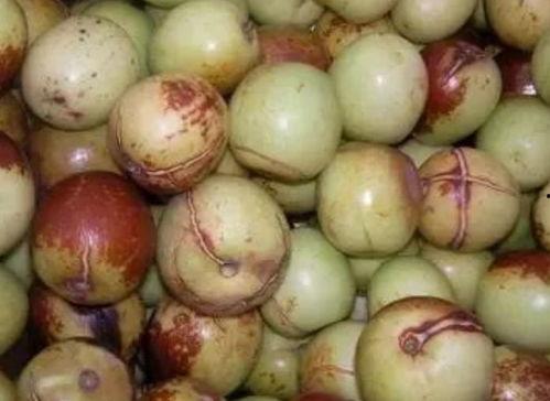 歪瓜如何吃,解锁美味新境界