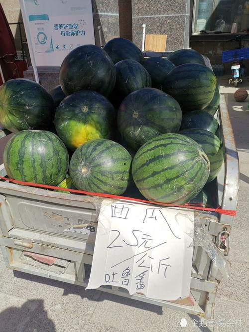 百邑瓜可以吃吗,美味可口的天然美食探索