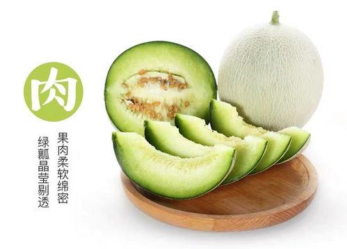 吃中药可以吃网纹瓜吗,网纹瓜与中药同食的适宜性探讨