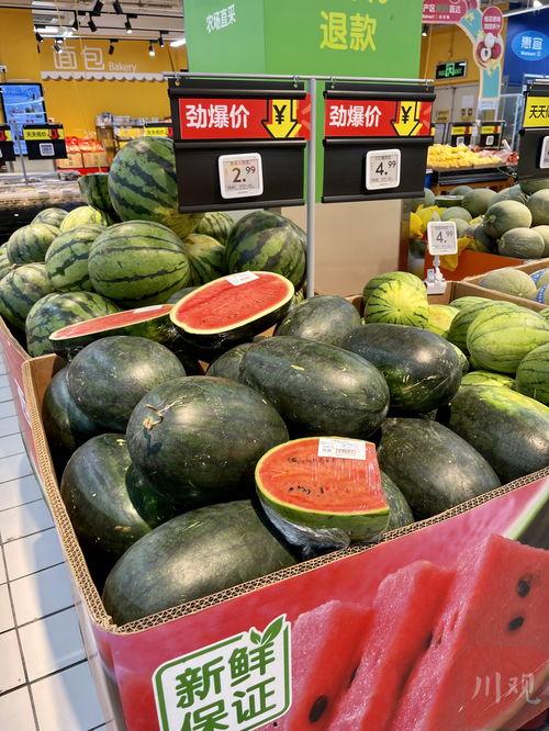 成都动漫吃瓜,吃瓜群众的热议焦点