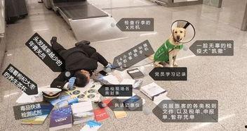 硬核挑战吃瓜视频,硬核视频带你领略舌尖上的刺激冒险