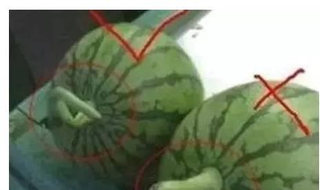 突然吃瓜有危害吗,突然吃瓜的潜在危害与注意事项