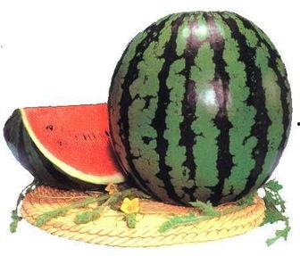 吃瓜太多的坏处,揭秘网络时代的心理陷阱