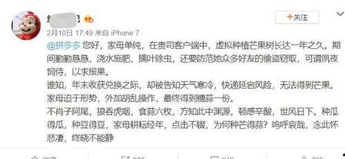 吃瓜古文翻译,穿越时空的趣味解读