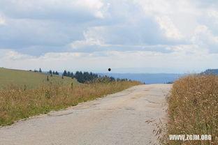 梦到在地里摘瓜吃瓜,在地里摘瓜吃瓜的奇幻之旅