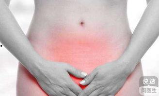 例假吃小瓜,女性健康生活新篇章”