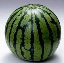 吃瓜的相片,揭秘吃瓜群众的欢乐瞬间