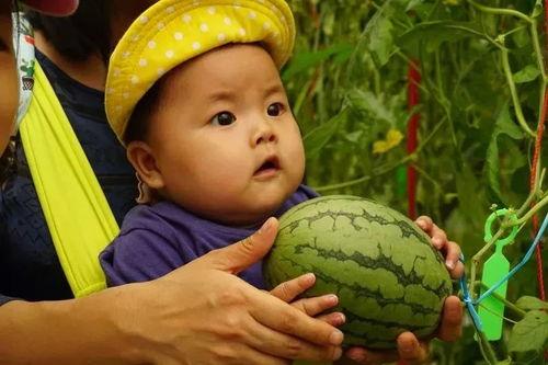 2022吃瓜群最新群