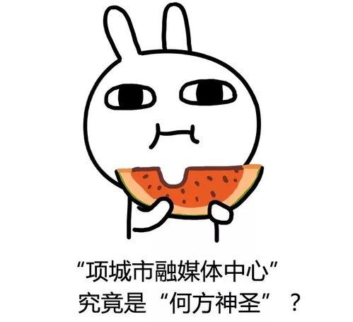 《诚实吃瓜》02,揭秘“吃瓜群众”背后的真实故事