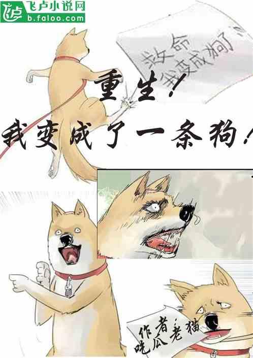 完结吃瓜系统小说,从幕后黑手到娱乐圈女王