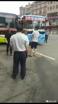 河东吃瓜视频,揭秘网络热点的背后故事