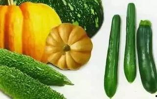 遮天吃瓜,吃瓜群众揭秘神秘势力背后的真相