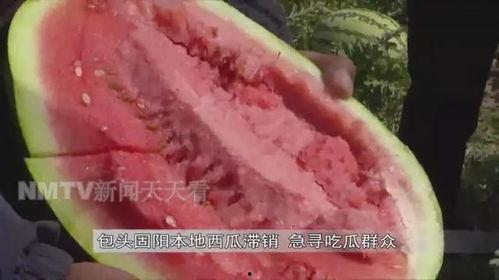 老王吃瓜坊,揭秘娱乐圈幕后故事