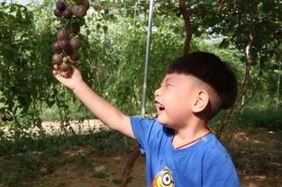 季然吃瓜,揭秘娱乐圈幕后故事