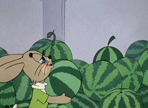 狸猫吃蜜柑兽装瓜,一场奇幻的美食冒险之旅