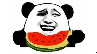 幽默搞笑吃瓜,瓜田里的欢乐盛宴！