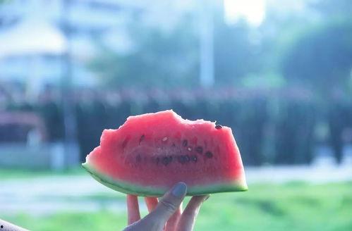 吃瓜的看我作品,揭秘看我作品背后的故事