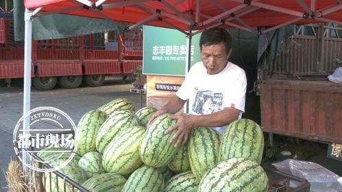 吃瓜批发商,揭秘吃瓜批发商的生意经