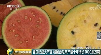 种瓜变成吃瓜,一场农业变革的奇妙旅程