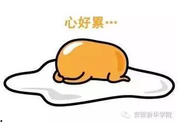 骗别人吃瓜,揭秘那些诱人瓜子的背后真相